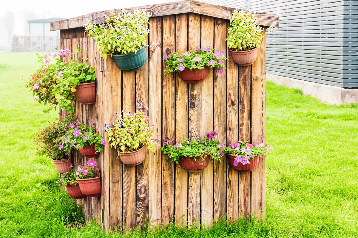 Shed covered in potted plants