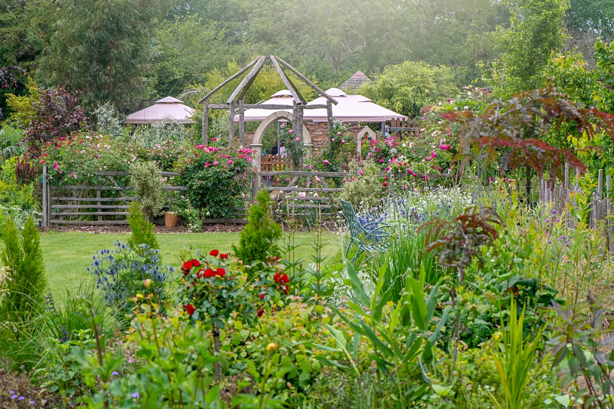 Beautiful cottage garden