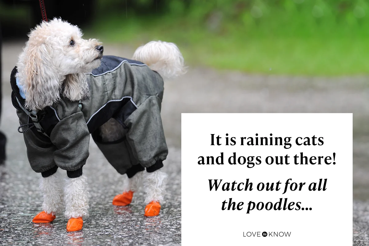 Whimsical Weather Jokes for Kids That Will Strike Up Some Laughs