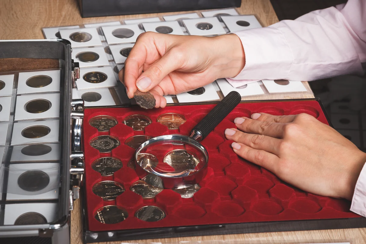 Woman looking at coin collection
