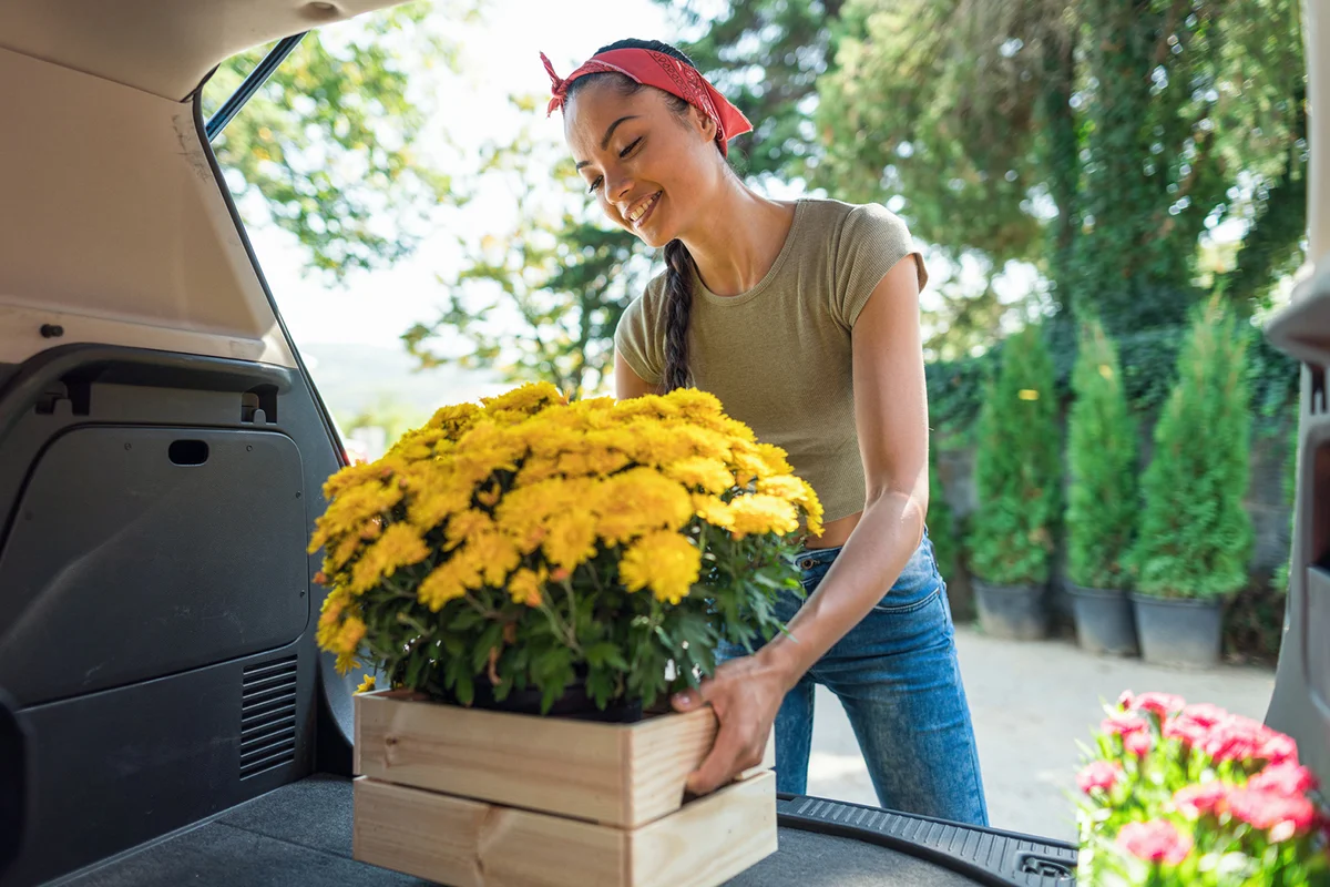 Young charming florist putting flower crates in the car trunk for home delivery