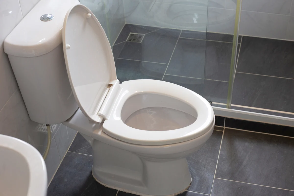 clean toilet