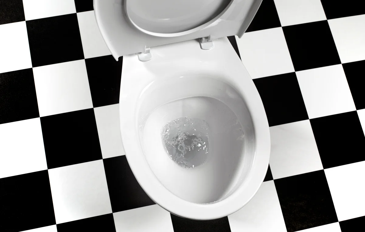 self-cleaning toilet