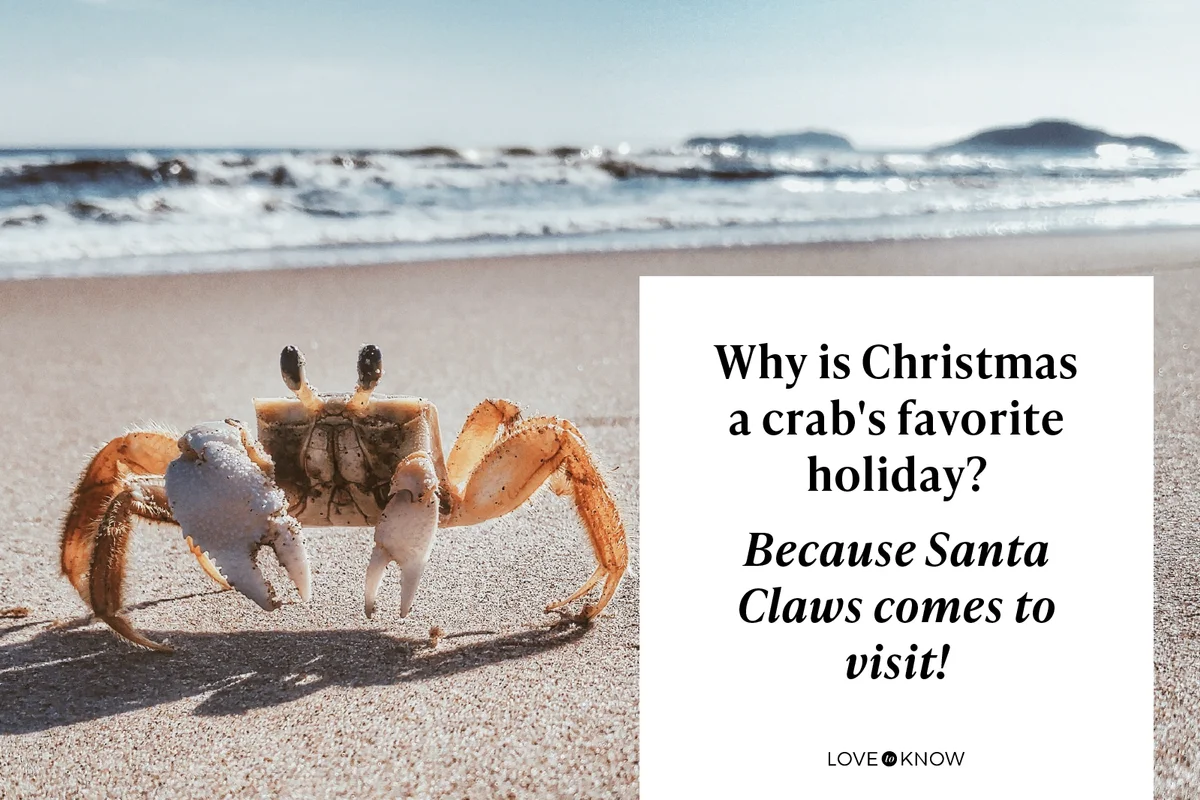 Close-up of crab on sand at beach
