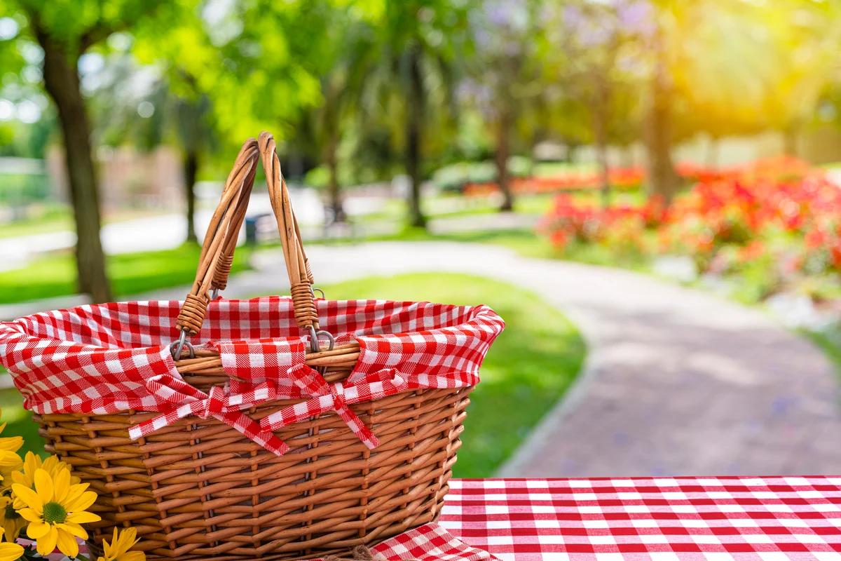 picnic basket