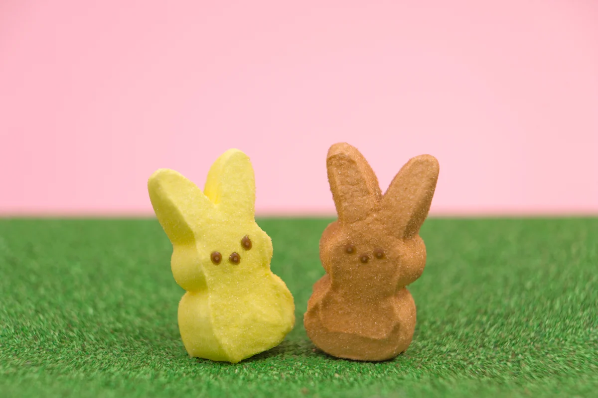 bunny candy peeps