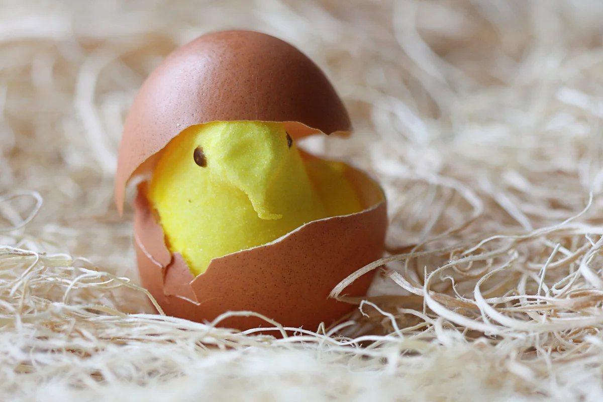 marshmallow peep in an egg