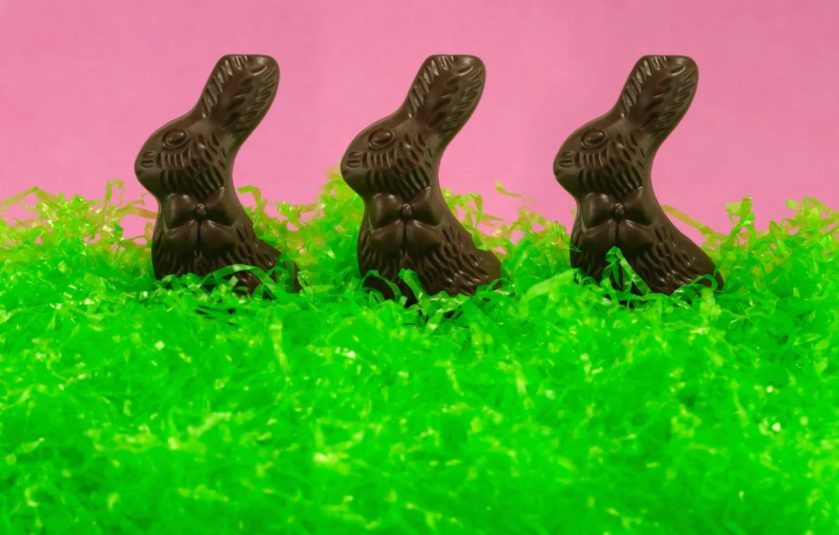 dark chocolate easter bunnies