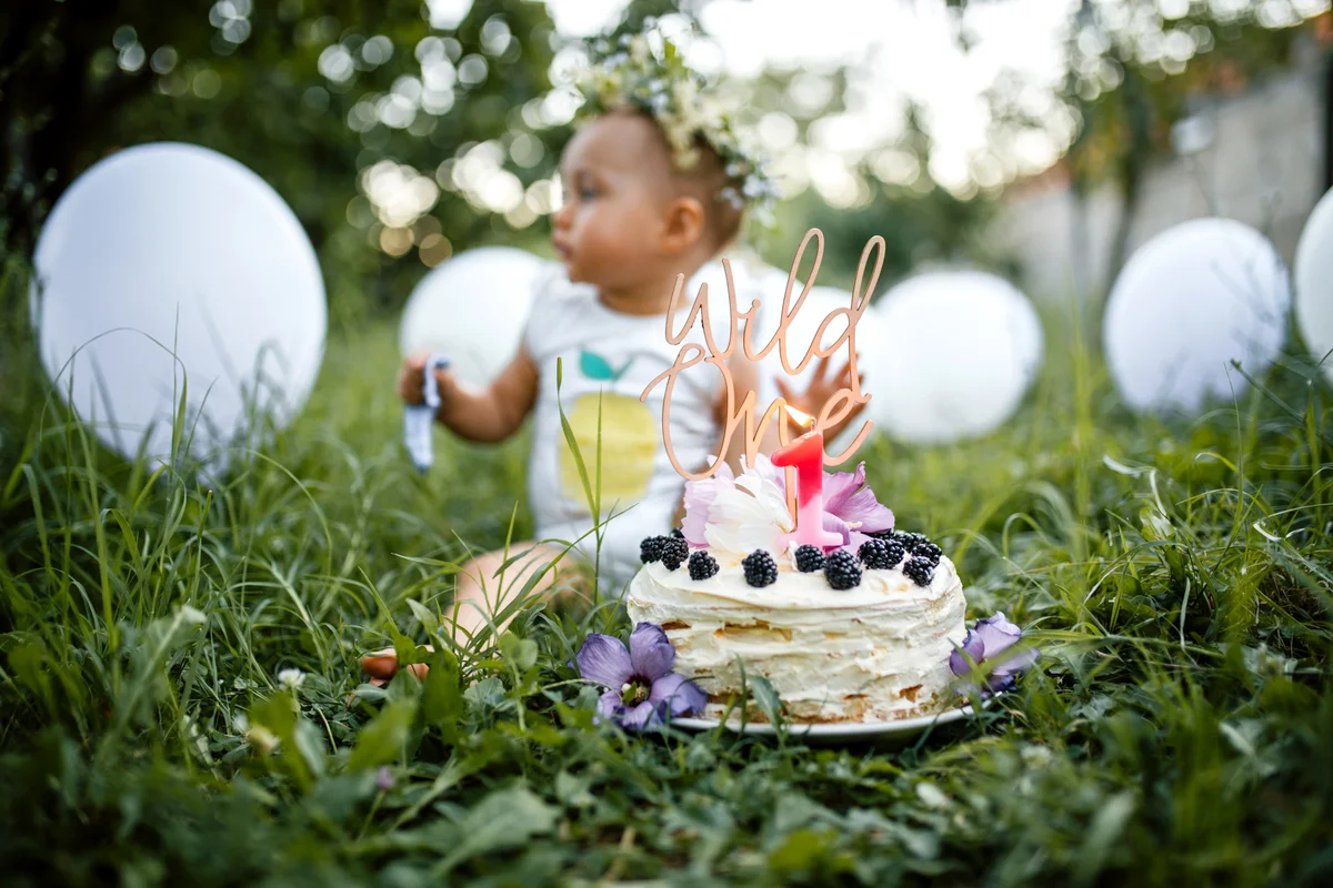 wild one birthday party