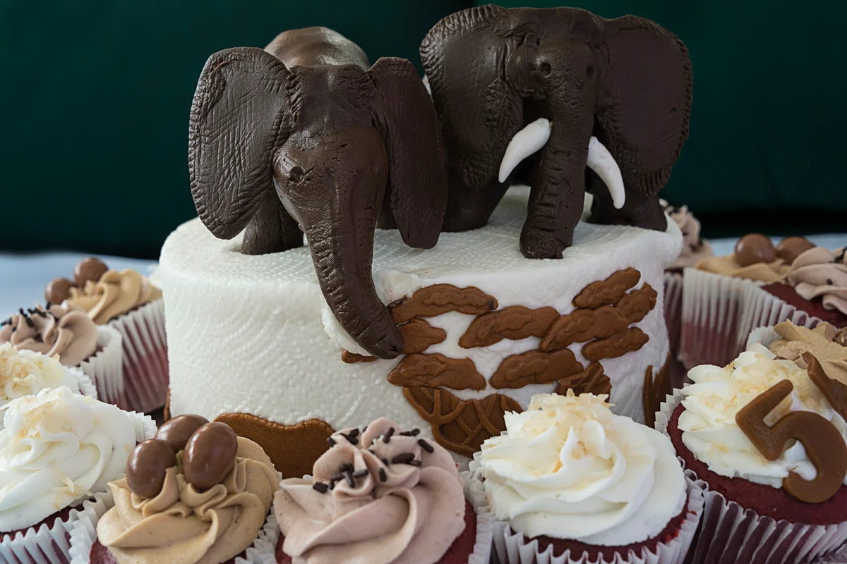cake with elephant toppers