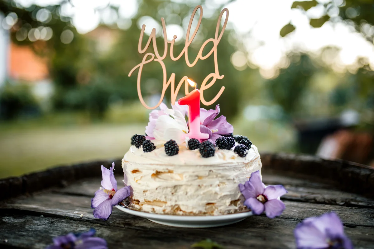 wild one cake topper