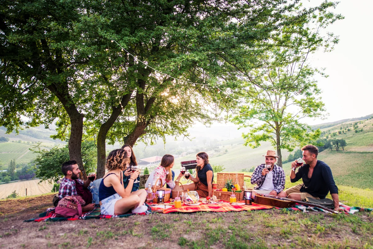 picnic party