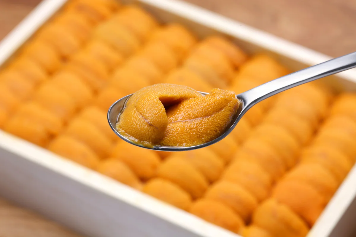Sea Urchin Roe