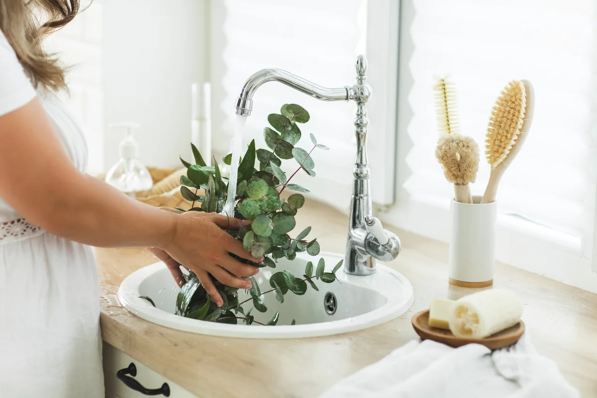 woman rinsing fresh eucalyptus
