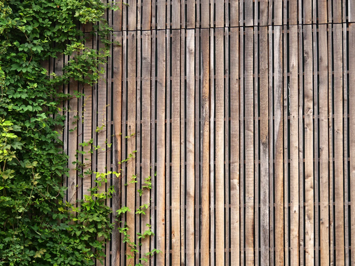 garden slat wall