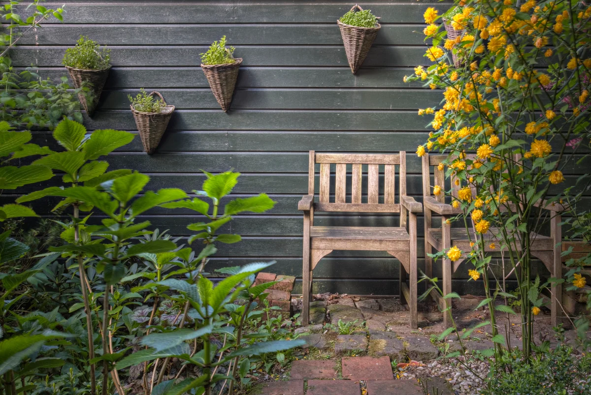 slat wall in garden with plants