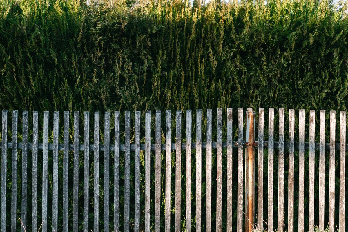 reclaimed slats