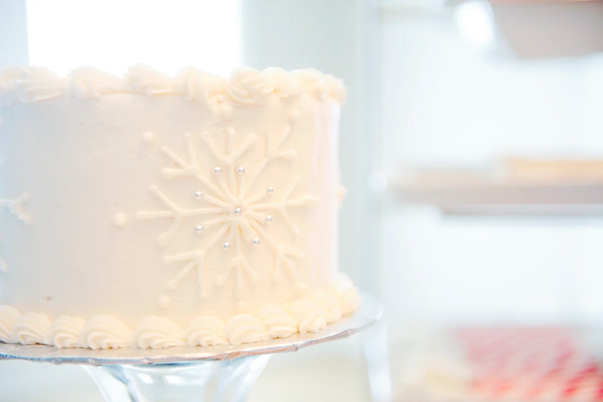 Winter Wonderland Cake