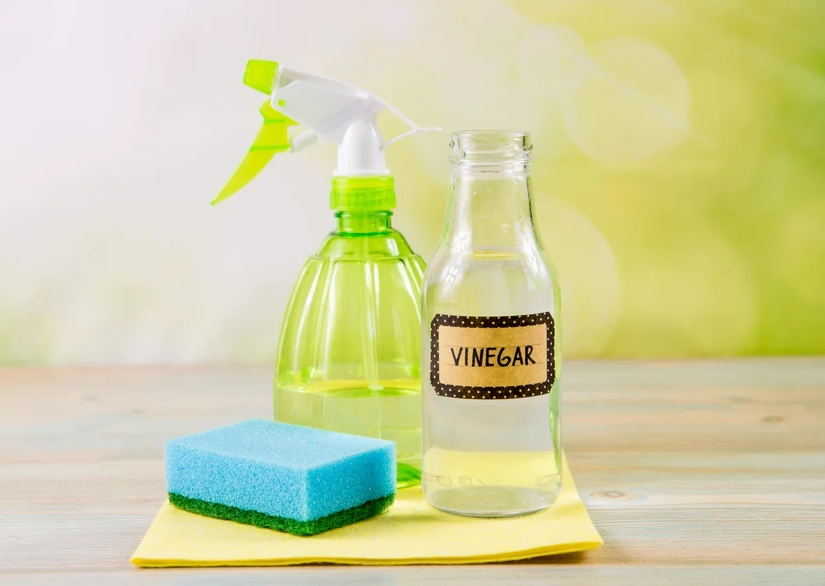 vinegar and spray bottle