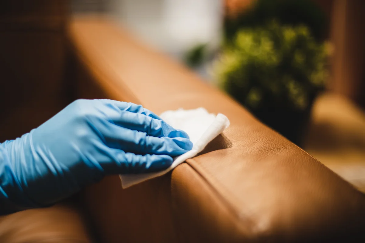 wiping a leather couch