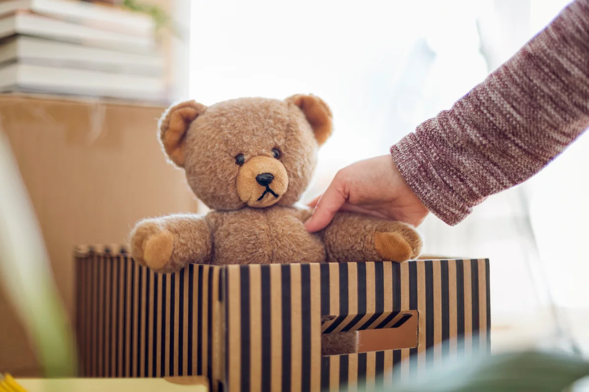 Teddy bear inside of box