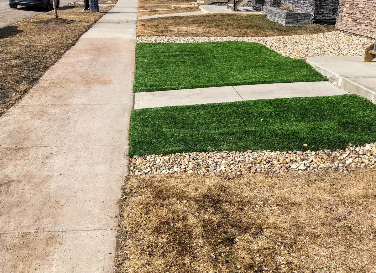 dead patches of lawn