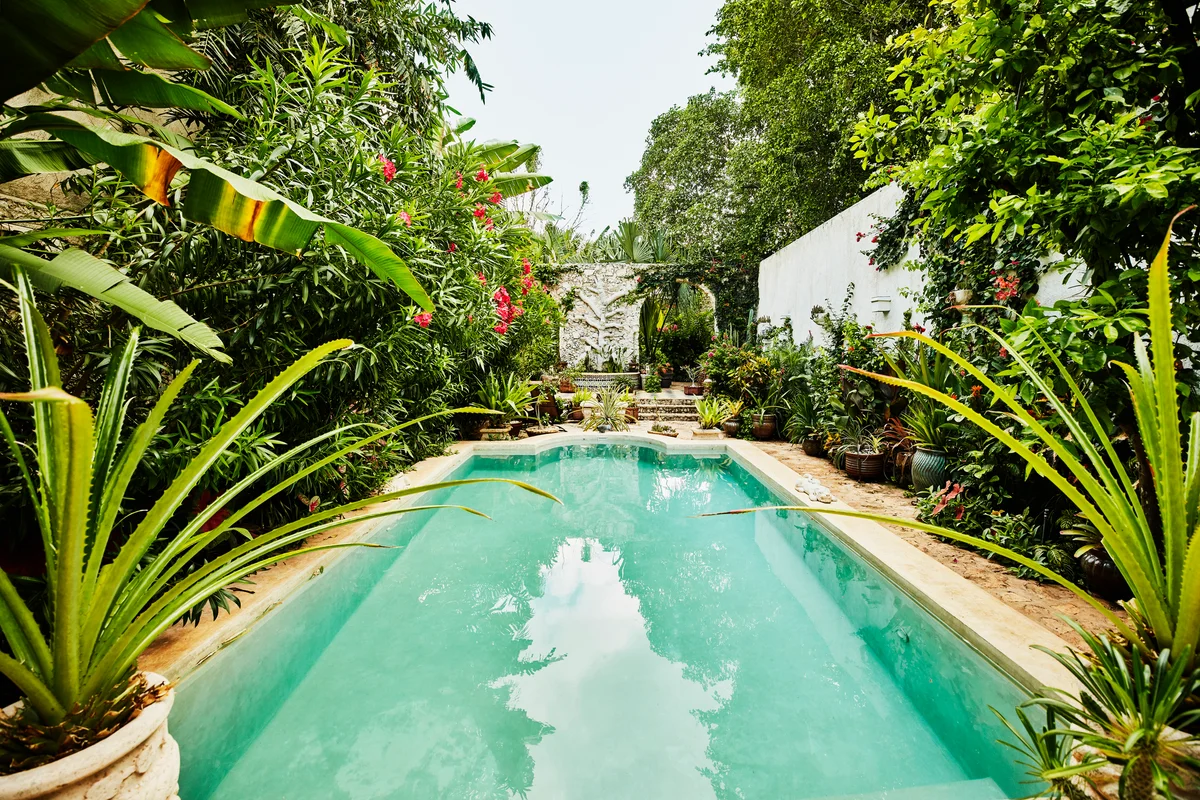 pool with tropical foliage