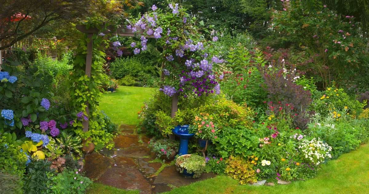 lush garden