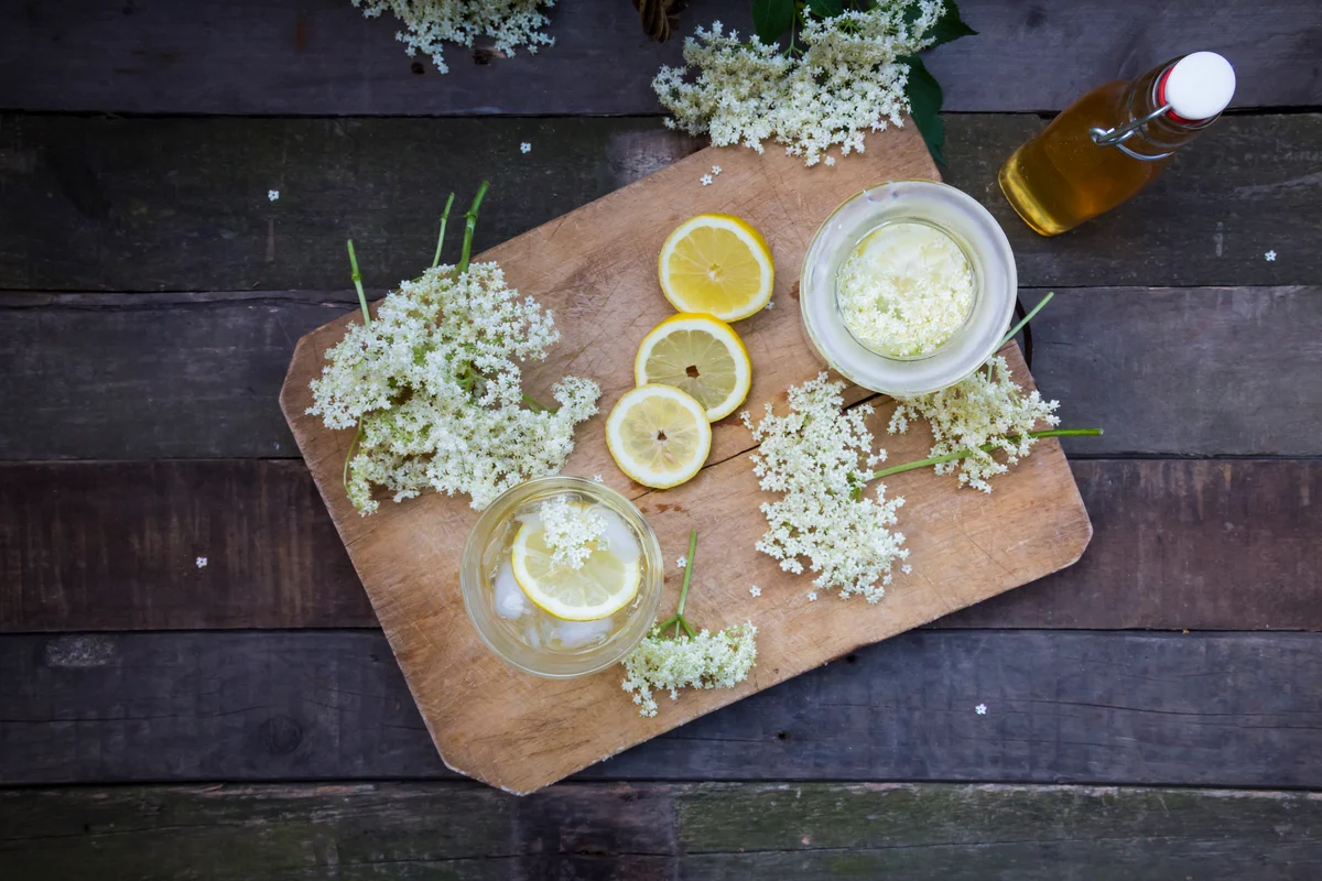 elderflower fizz