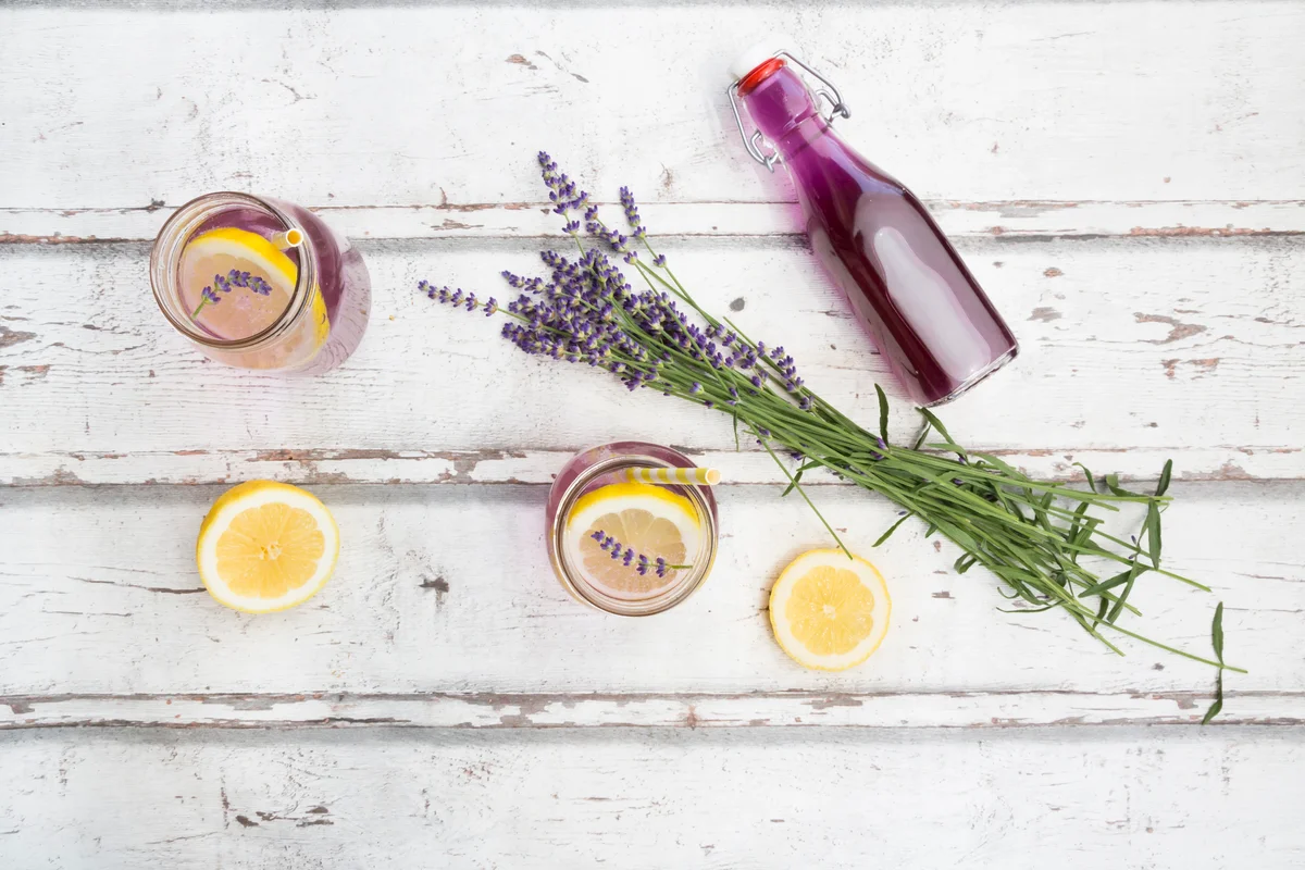 ingredients for blueberry lavender martini