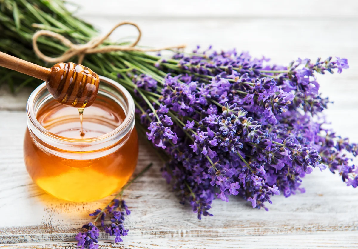 lavender and honey