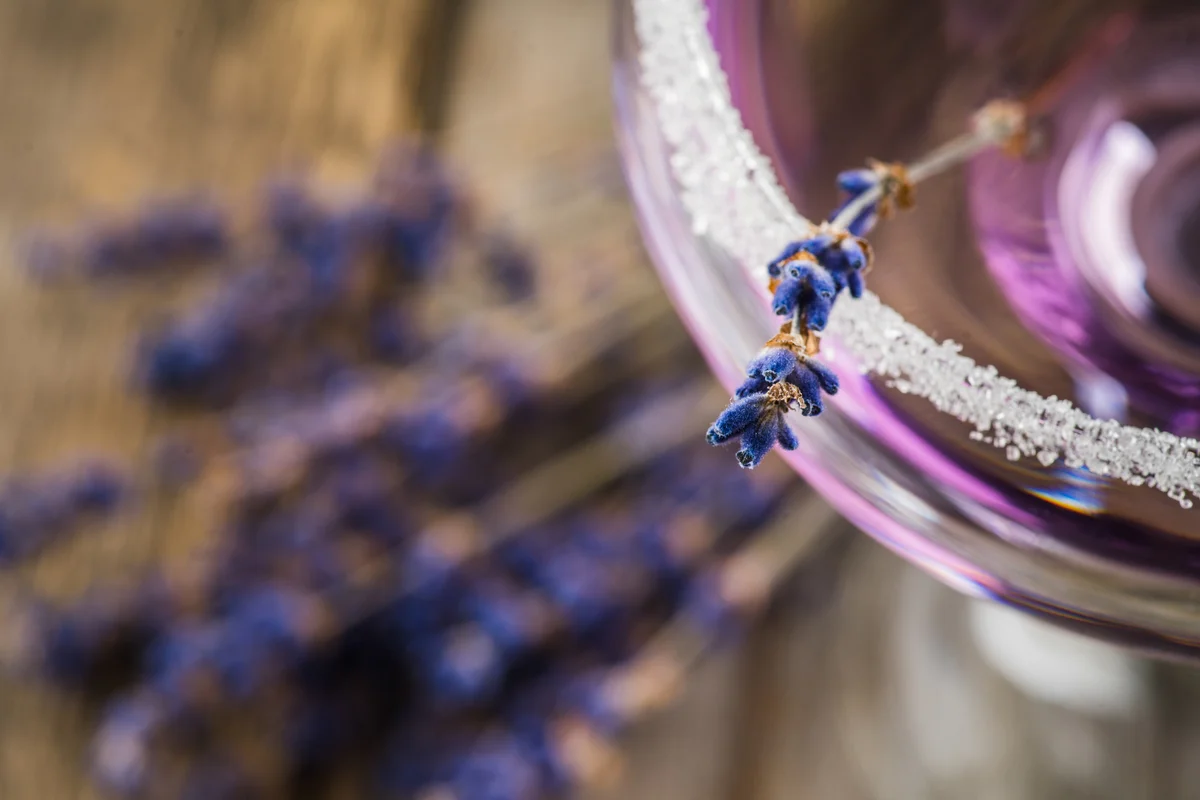 lavender martini - closeup