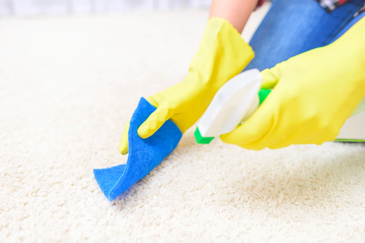vinegar carpet spray
