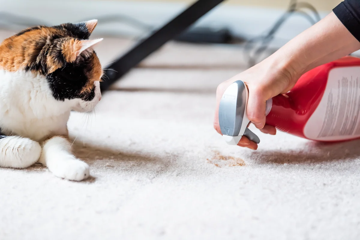 pet urine spray