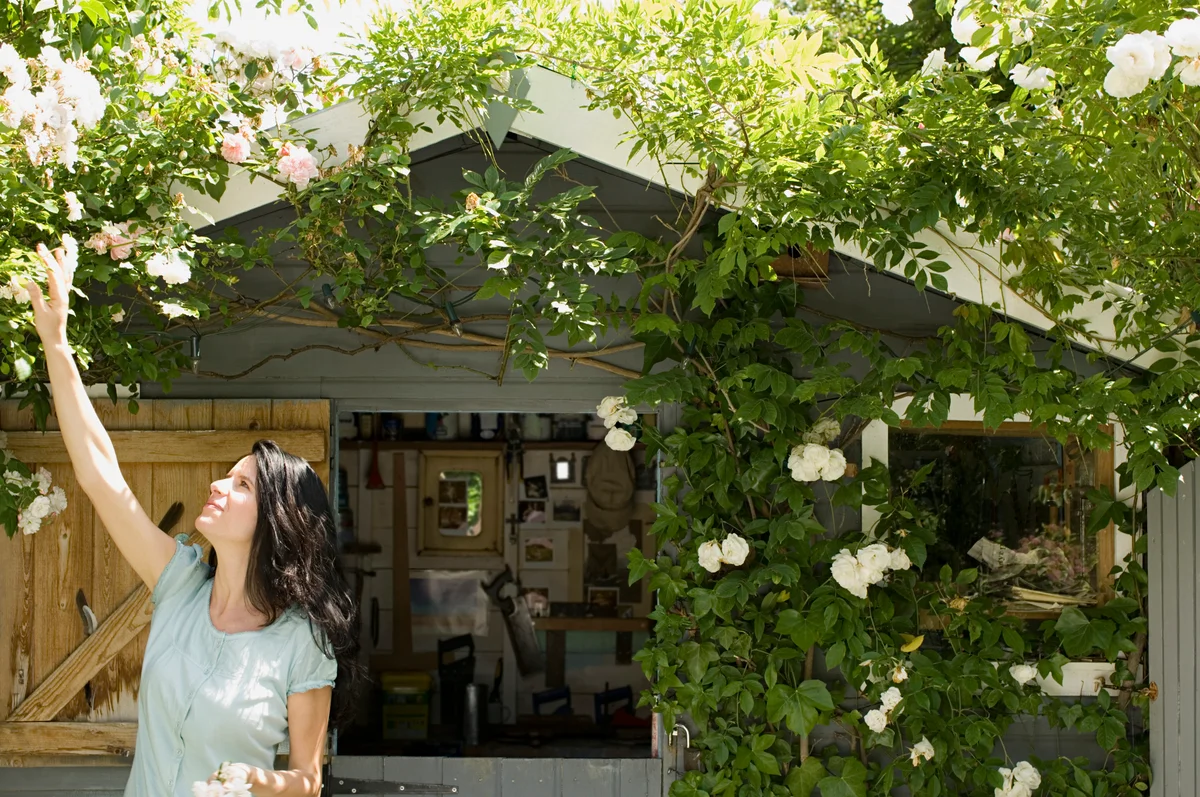 woman picking flowers from a tree