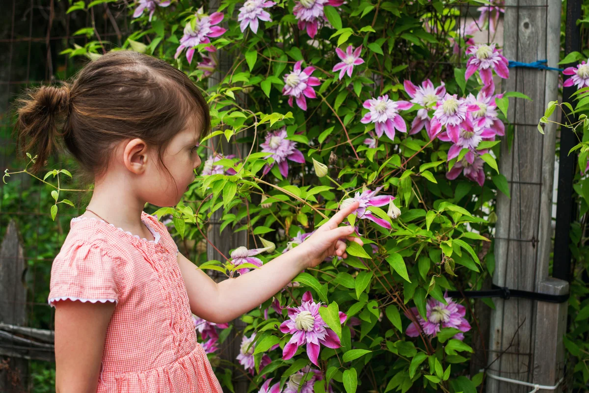 girl touching flowers in garden