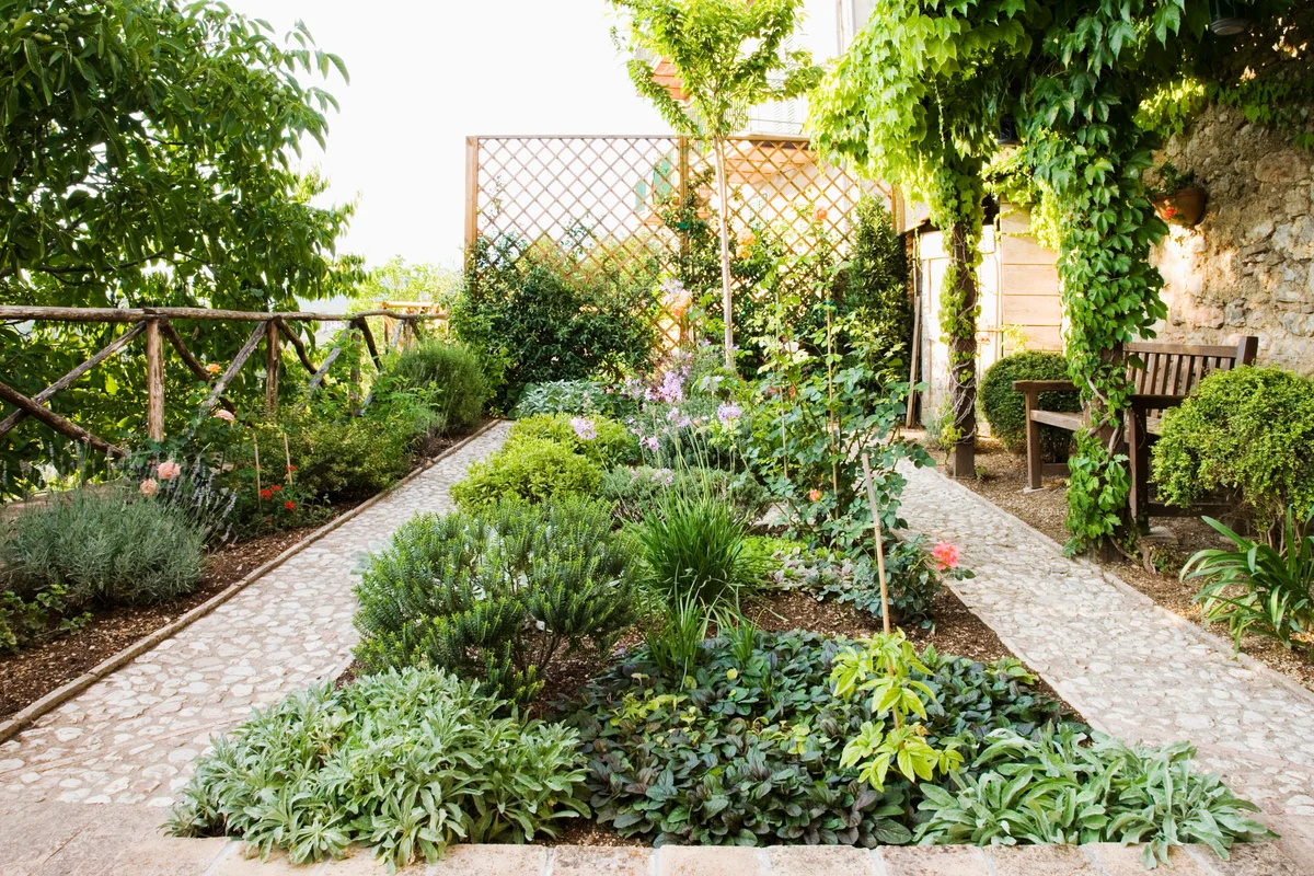 A beautifully landscaped backyard