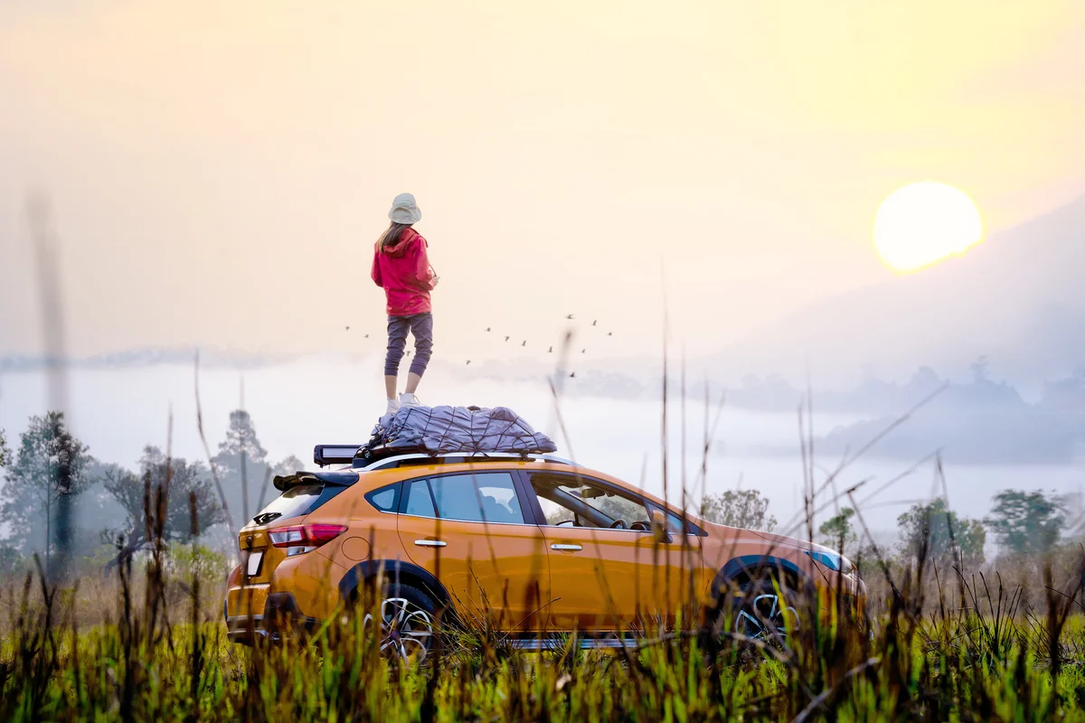 Scenic drive into nature