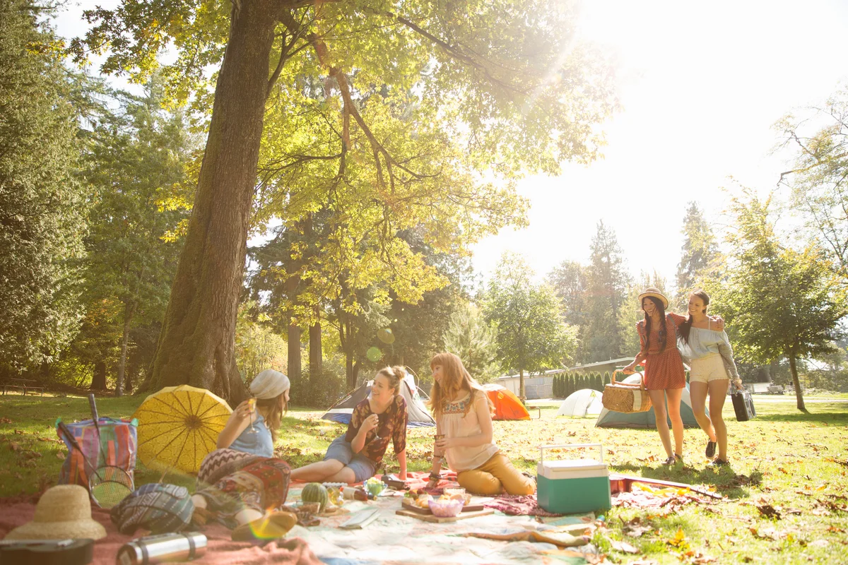 friends picnic in the park