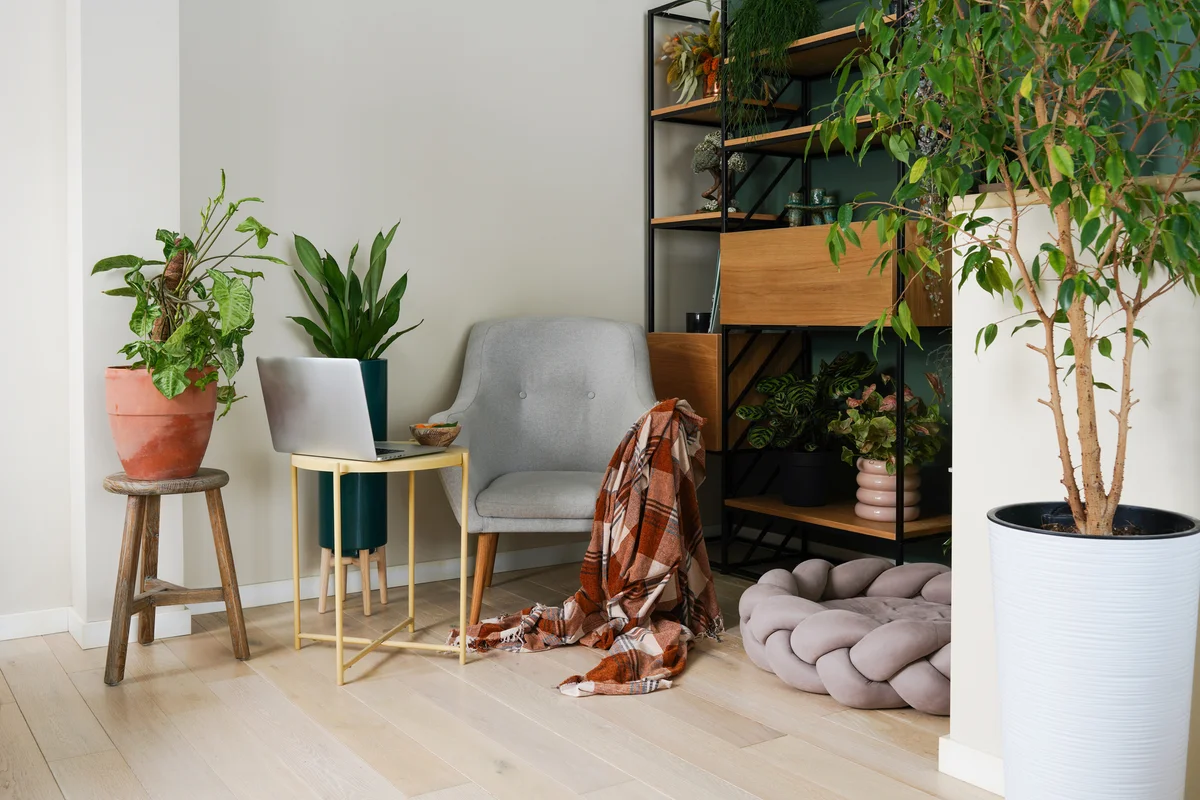 stylish office with a soft throw