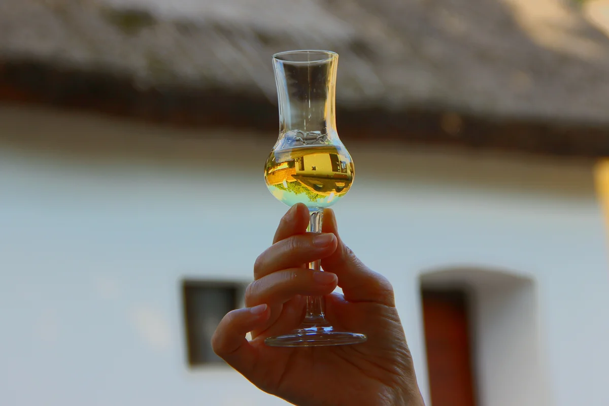 Woman holding small glass with golden colored cocktail