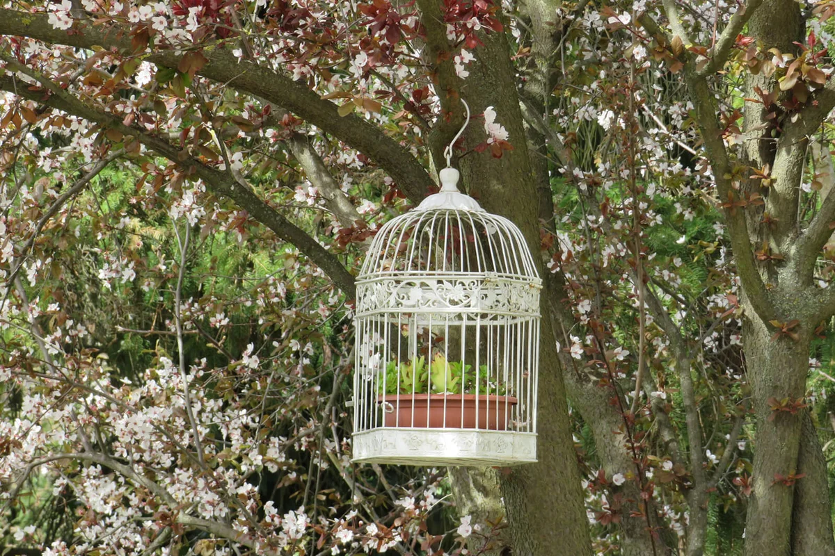 Vintage Style White Metal Birdcage Planter