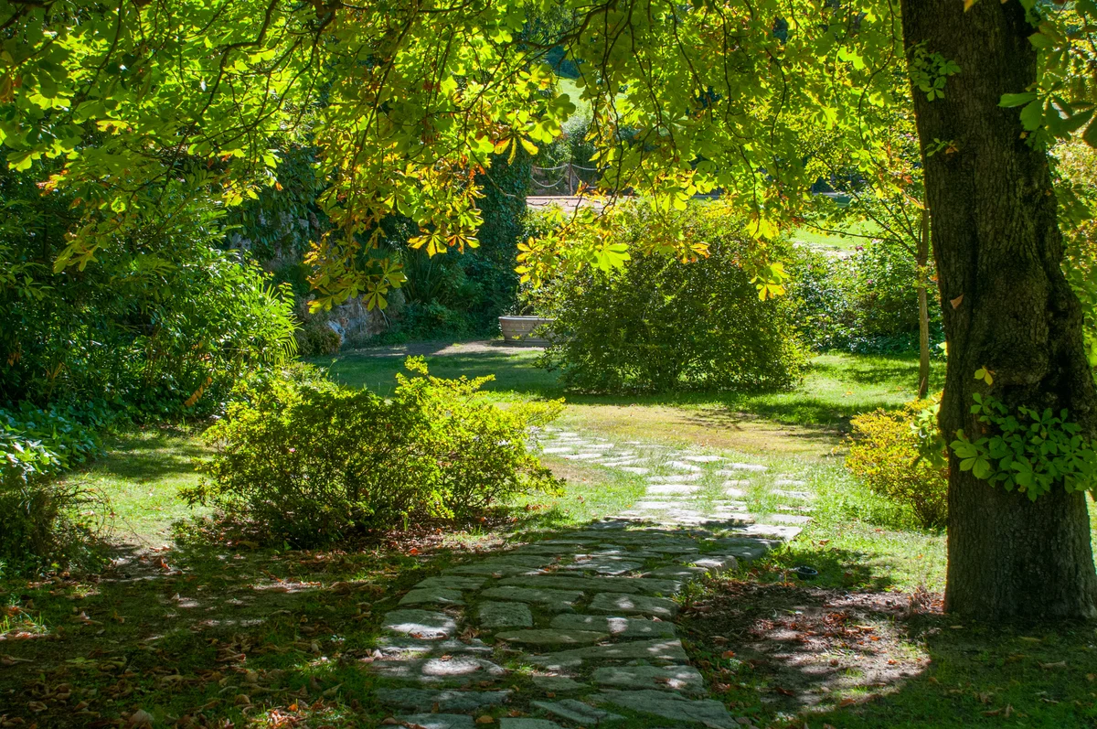 Garden path shaded with lots of trees