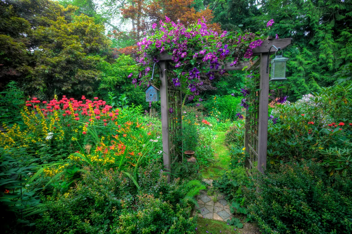Garden path and arbor covered in colorful flowers