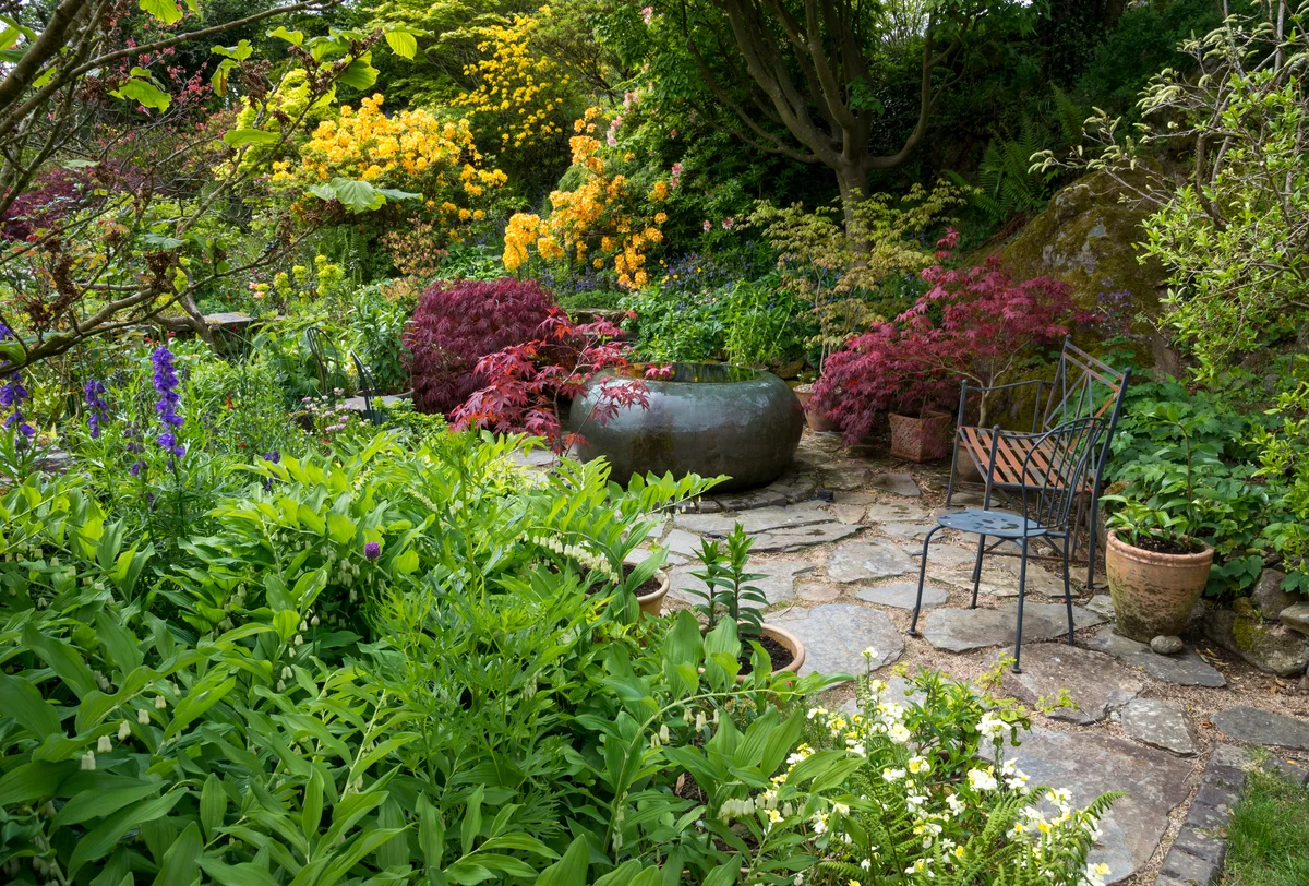 Shady garden with an assortment of plants and flowers