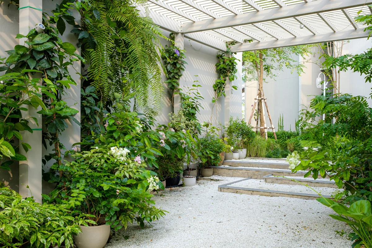 Shade garden in potted plants
