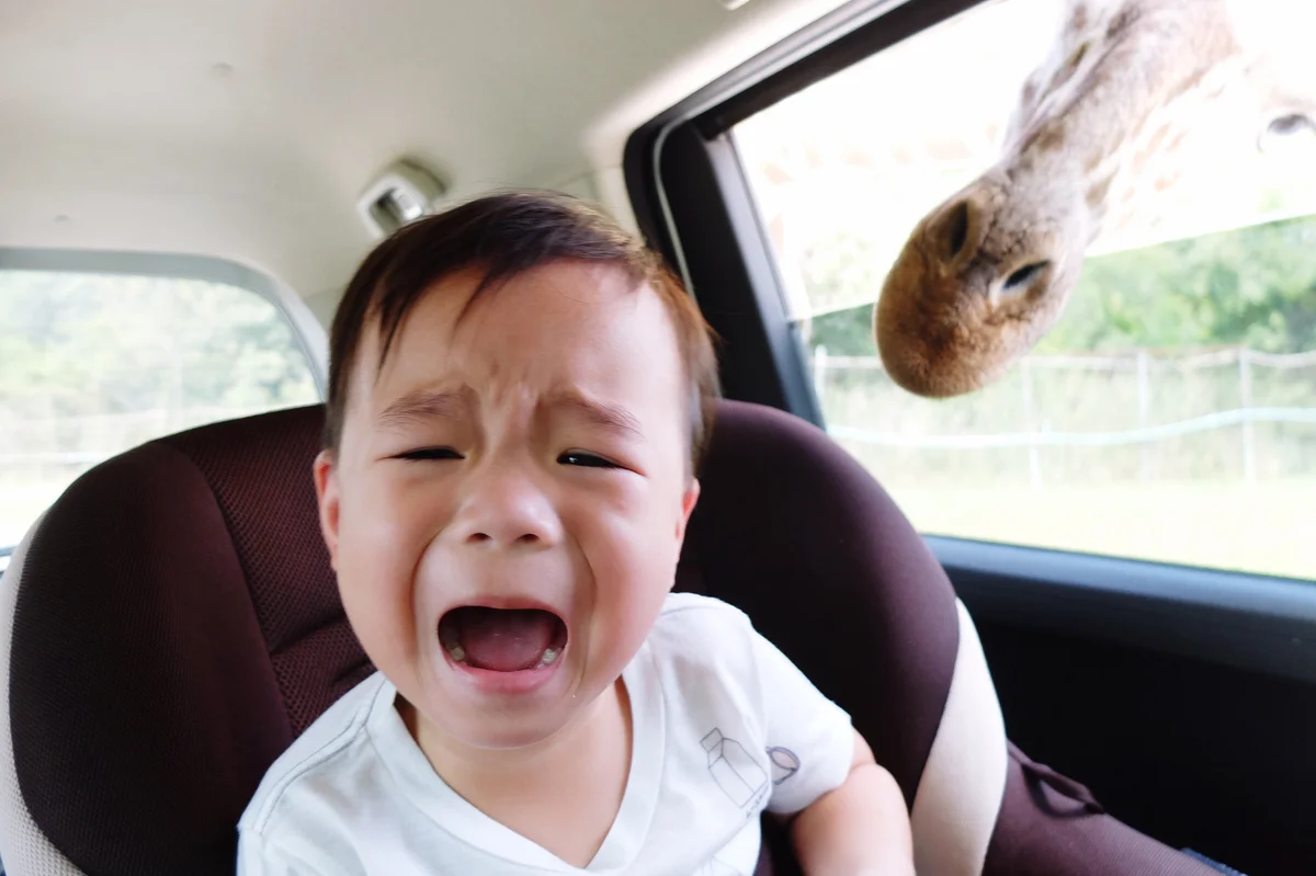 baby in car scared of giraffe