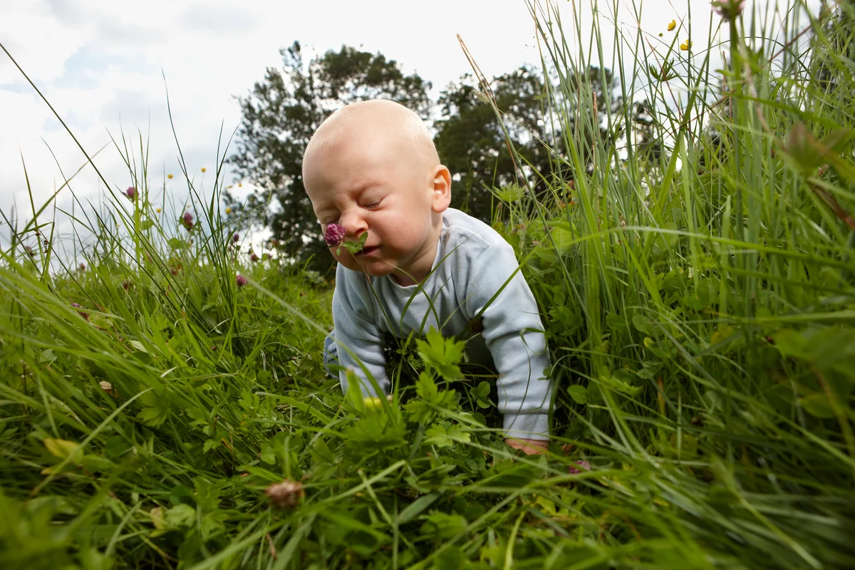 baby smelling flower