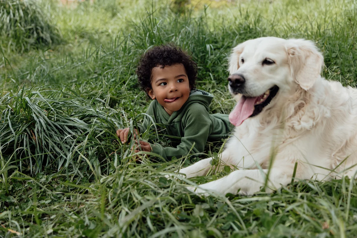 boy and a dog