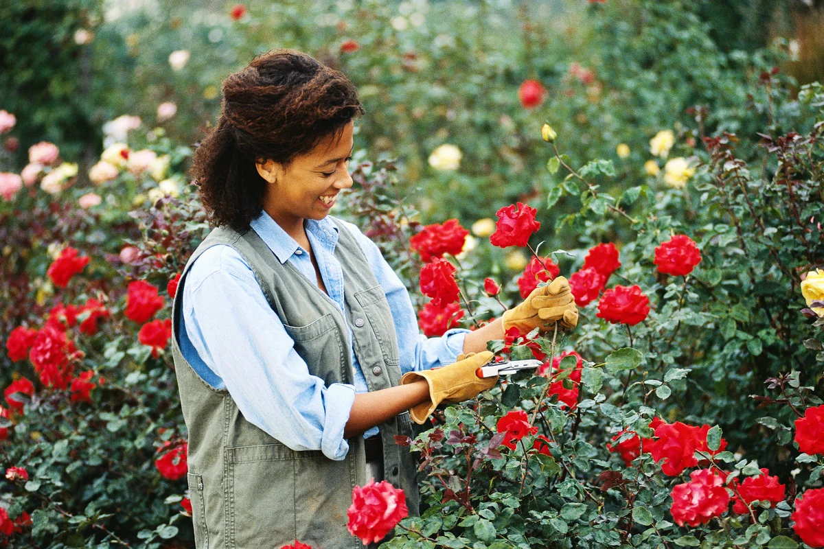 Woman in Flower Garden
